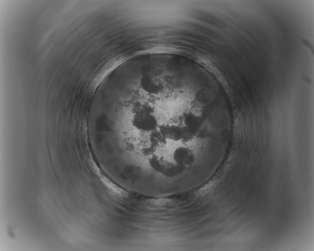 X0000101711425200807101553