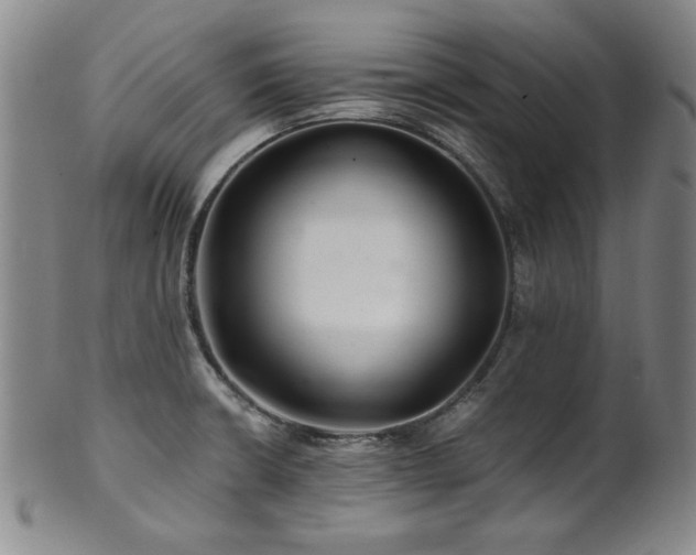 X0000101711426200807101553
