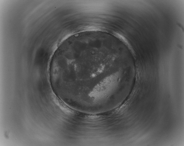 X0000101711427200807101553