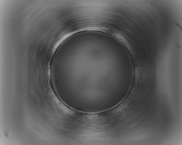 X0000101711428200807101553