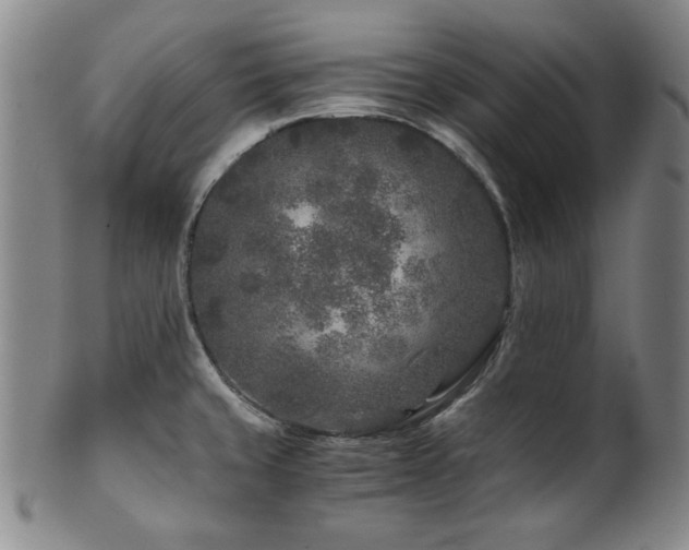 X0000101711429200807101553