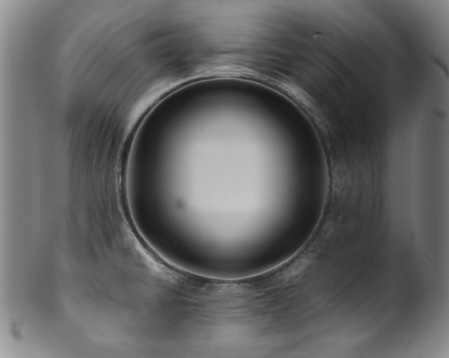 X0000101711430200807101553