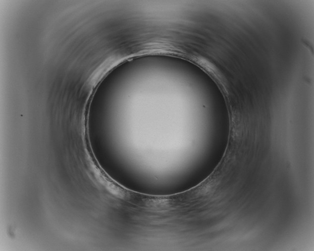 X0000101711431200807101553