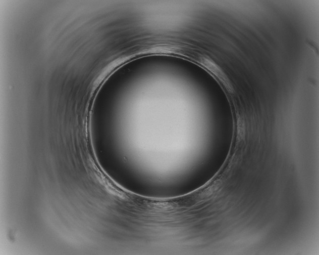X0000101711436200807101553