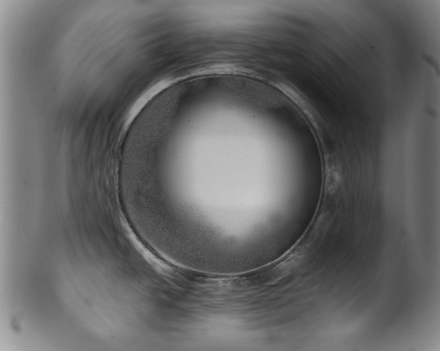 X0000101711438200807101553