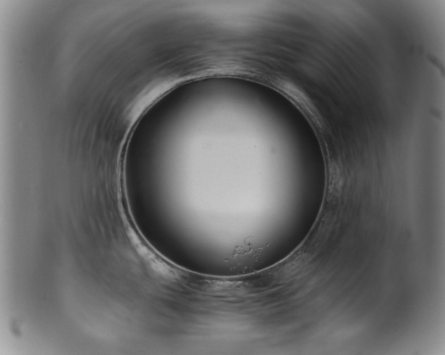 X0000101711439200807101553