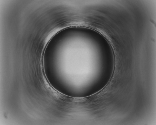 X0000101711440200807101554