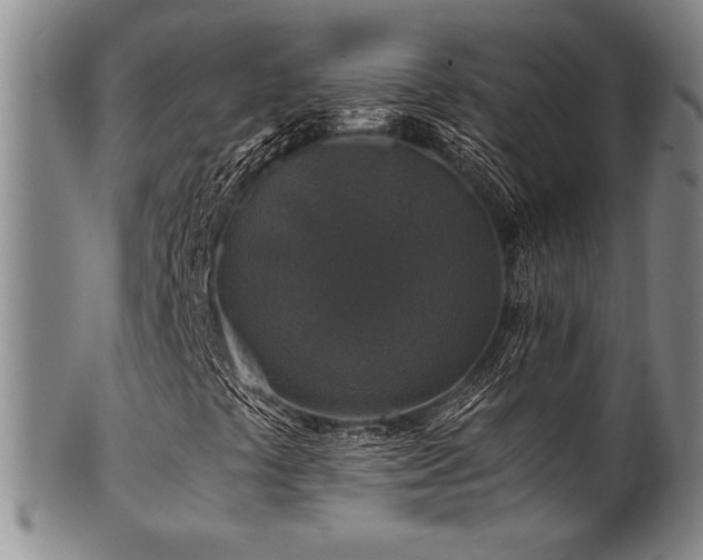 X0000101711441200807101553