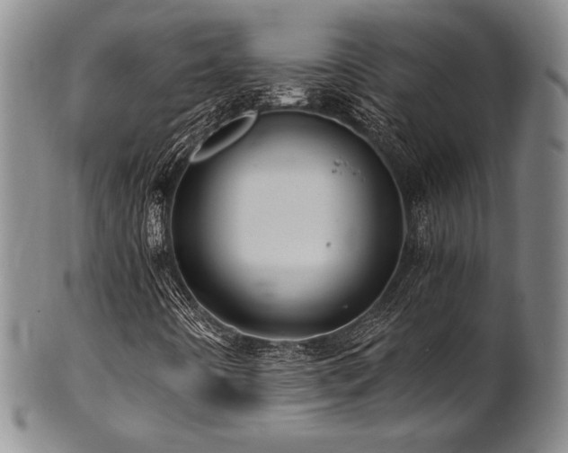 X0000101711442200807101553