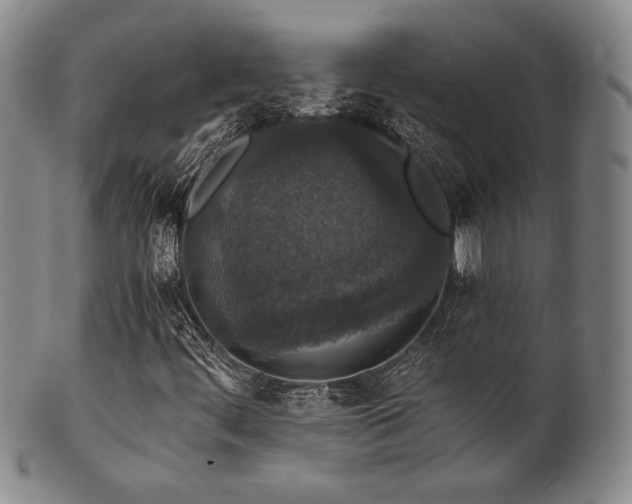 X0000101711444200807101553