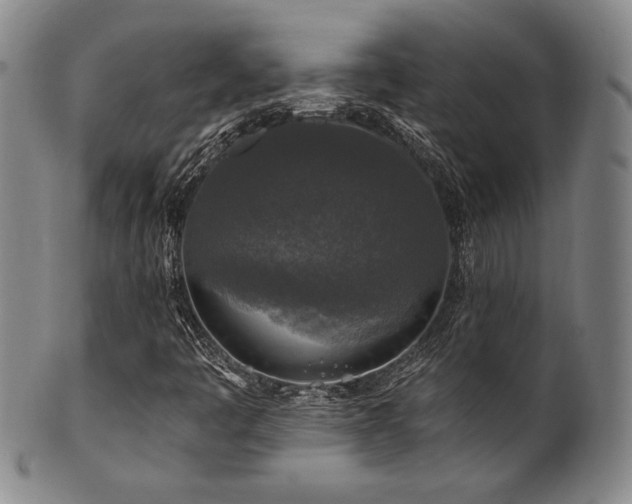 X0000101711445200807101553