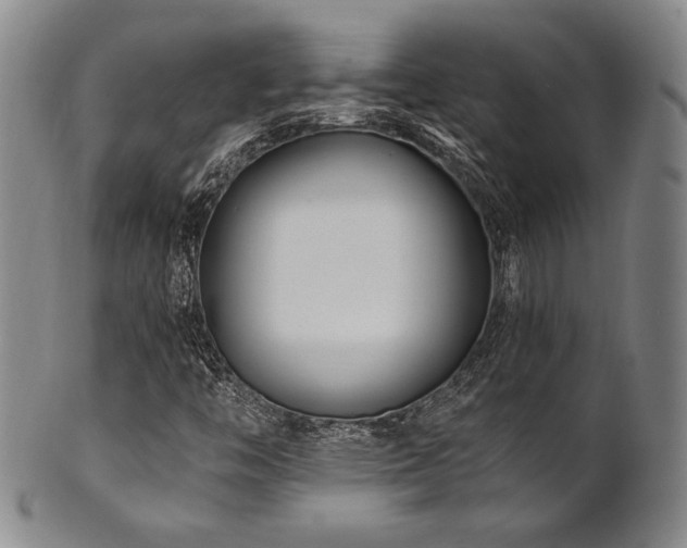 X0000101711446200807101553