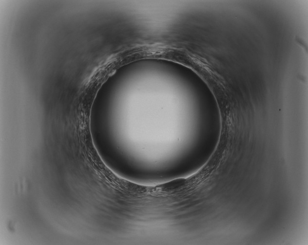 X0000101711447200807101553