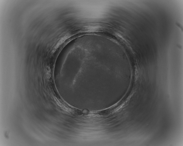 X0000101711449200807101553