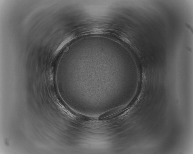 X0000101711450200807101553