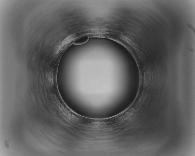 X0000101711451200807101553