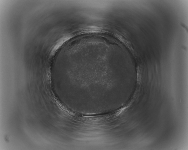 X0000101711453200807101553