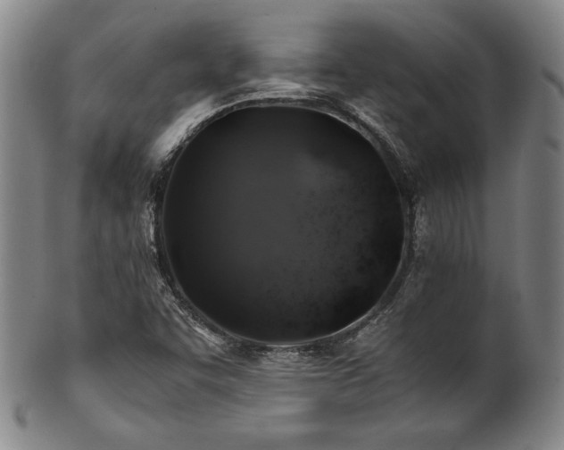 X0000101711455200807101553