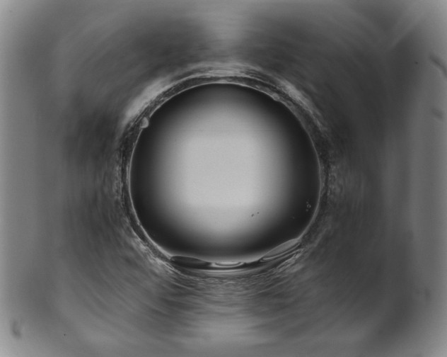 X0000101711456200807101553