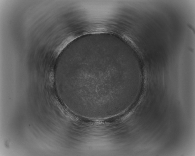X0000101711457200807101553
