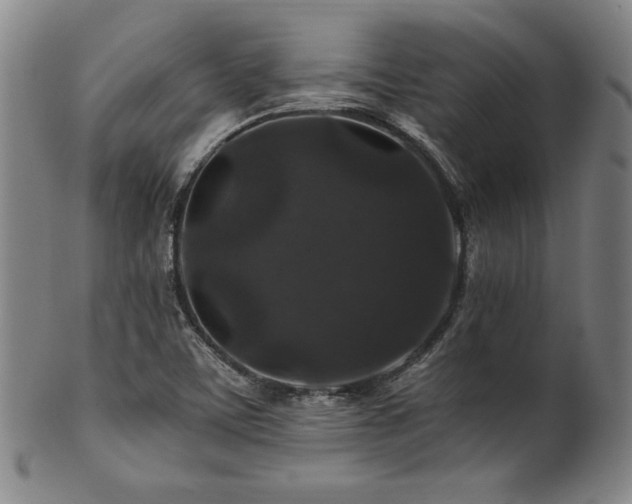 X0000101711459200807101553