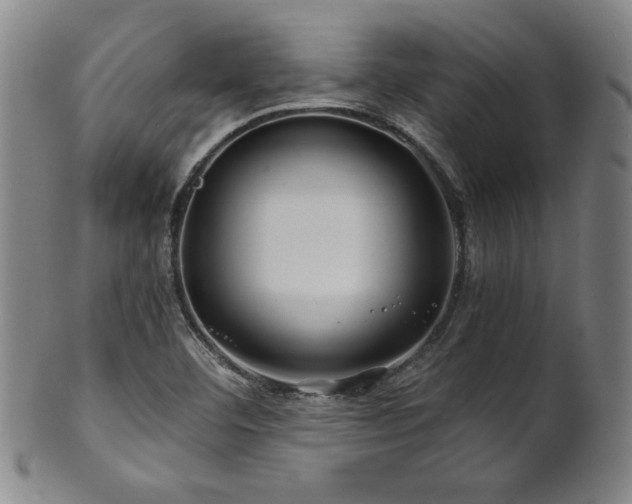 X0000101711460200807101553
