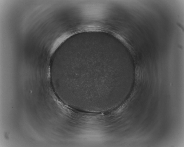 X0000101711461200807101553