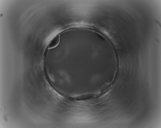 X0000101711463200807101552