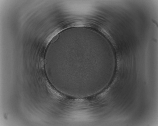X0000101711465200807101552
