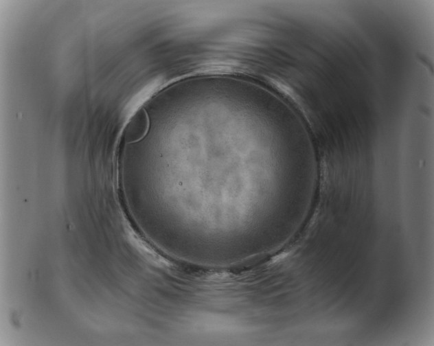 X0000101711467200807101552