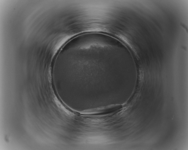 X0000101711468200807101552