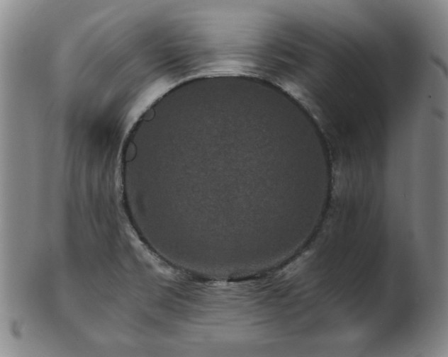 X0000101711469200807101552