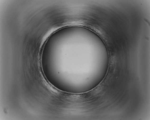 X0000101711470200807101552