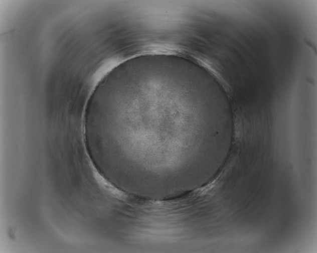 X0000101711471200807101552