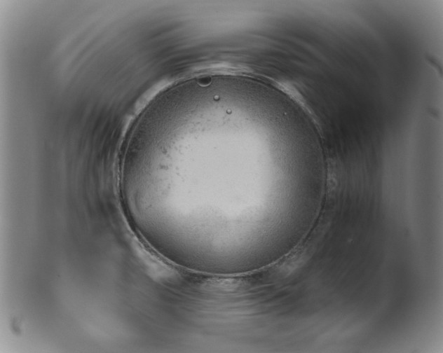 X0000101711474200807101552