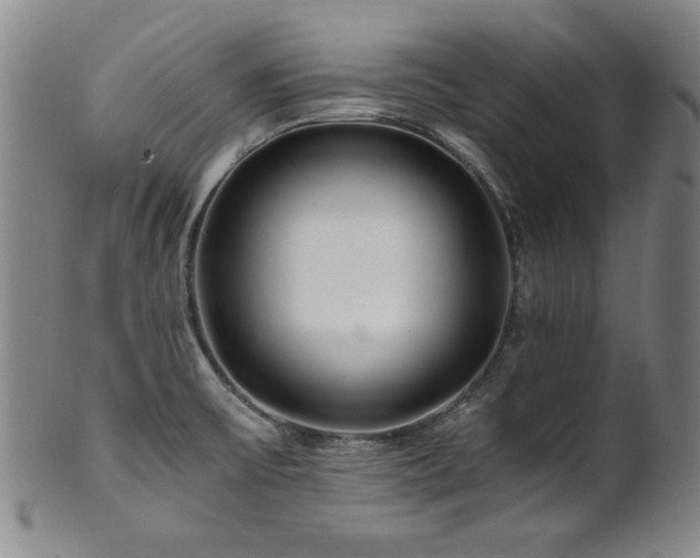 X0000101711475200807101552