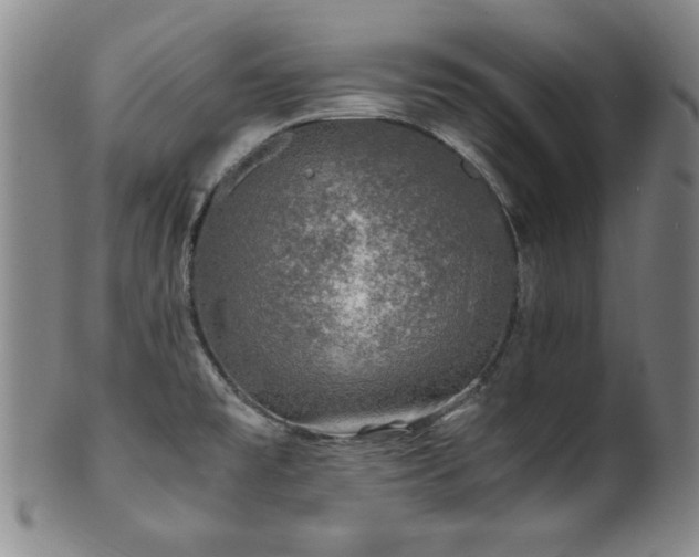 X0000101711477200807101552
