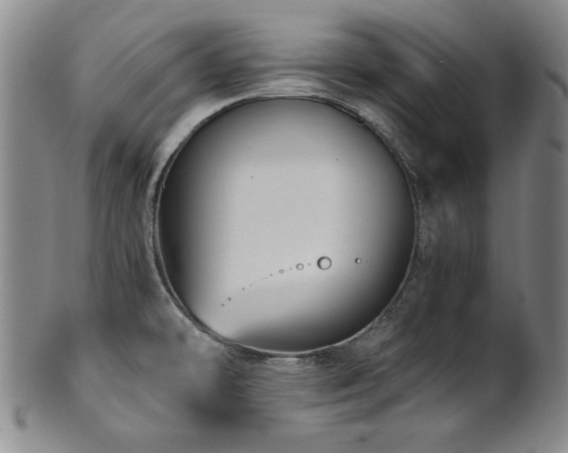 X0000101711478200807101552