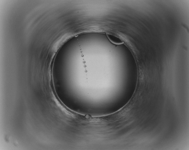 X0000101711479200807101552
