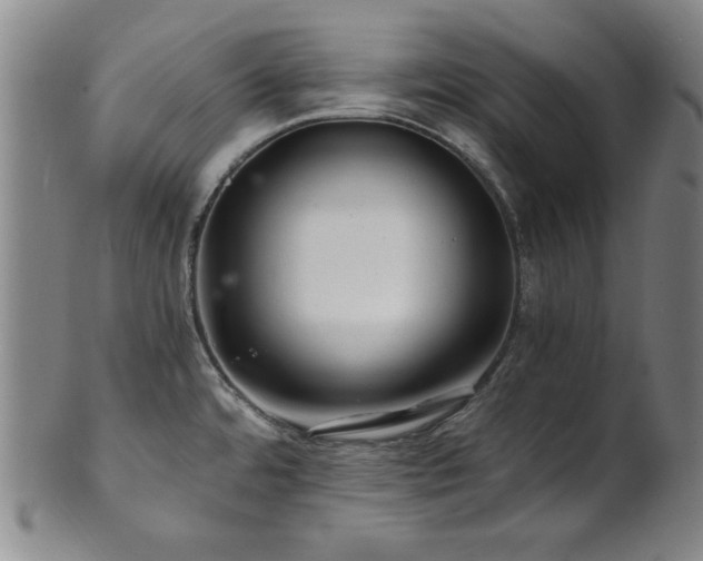X0000101711480200807101552