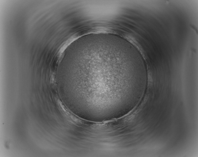 X0000101711481200807101552