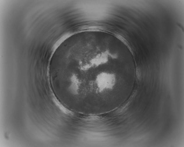 X0000101711482200807101552