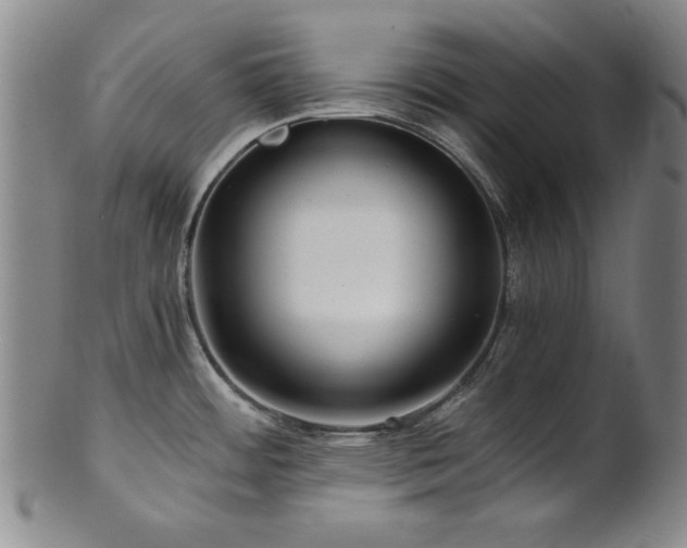 X0000101711484200807101552