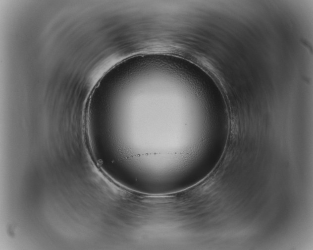 X0000101711487200807101552