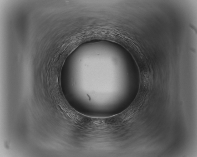 X0000101711489200807101551