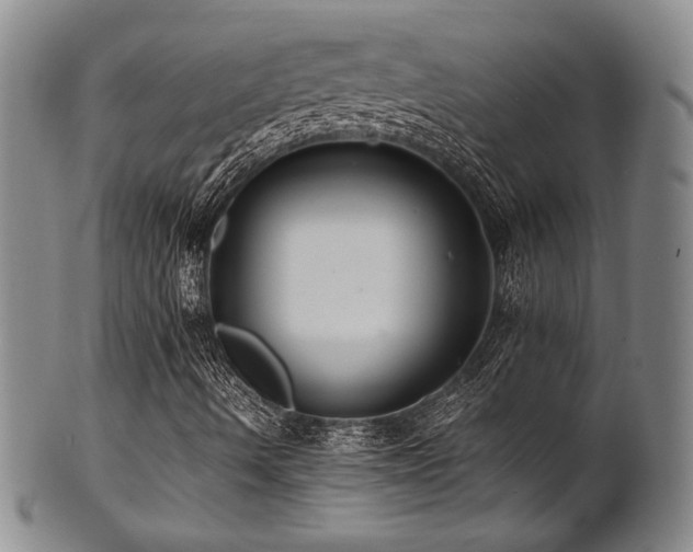 X0000101711490200807101551