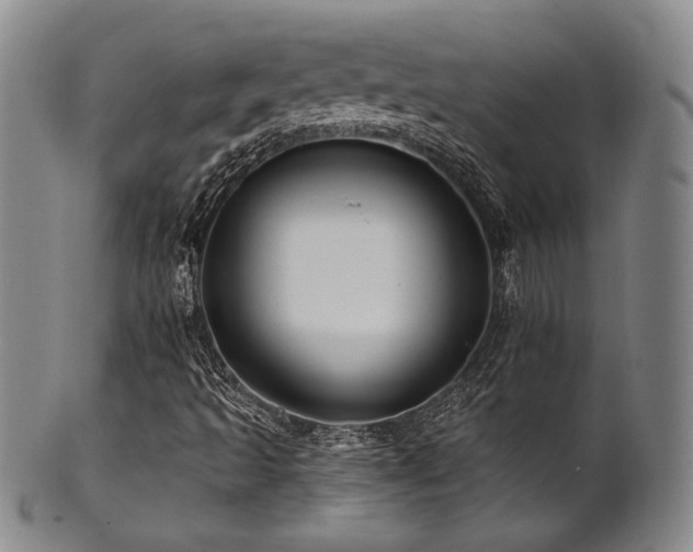 X0000101711493200807101551