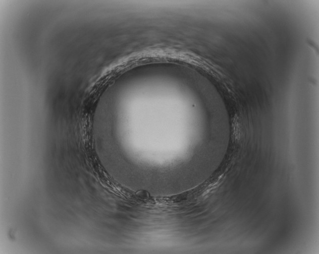 X0000101711494200807101551