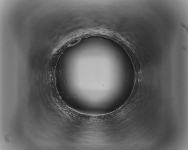 X0000101711496200807101551