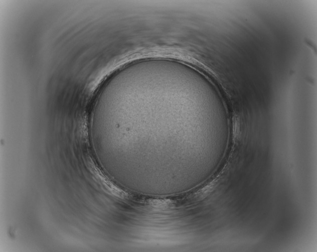 X0000101711498200807101551